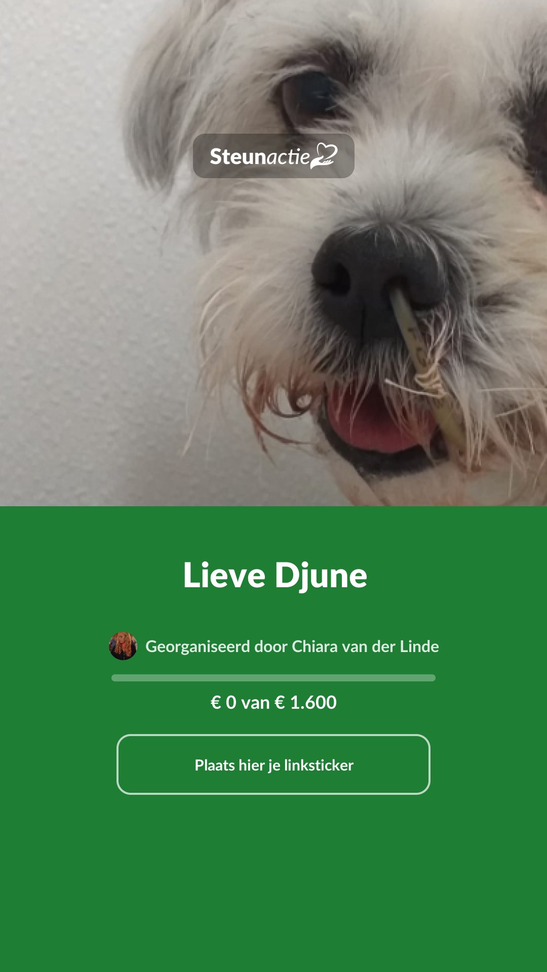 Voorbeeld van de afbeelding