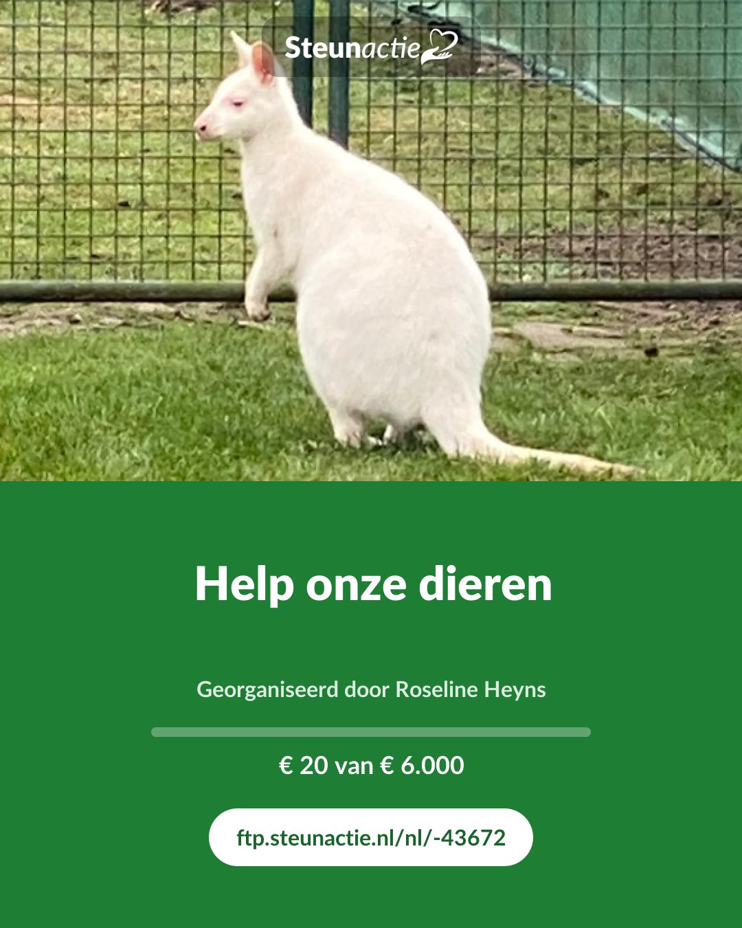 Voorbeeld van de afbeelding