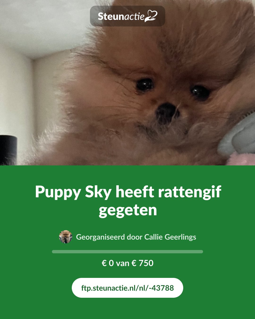 Voorbeeld van de afbeelding