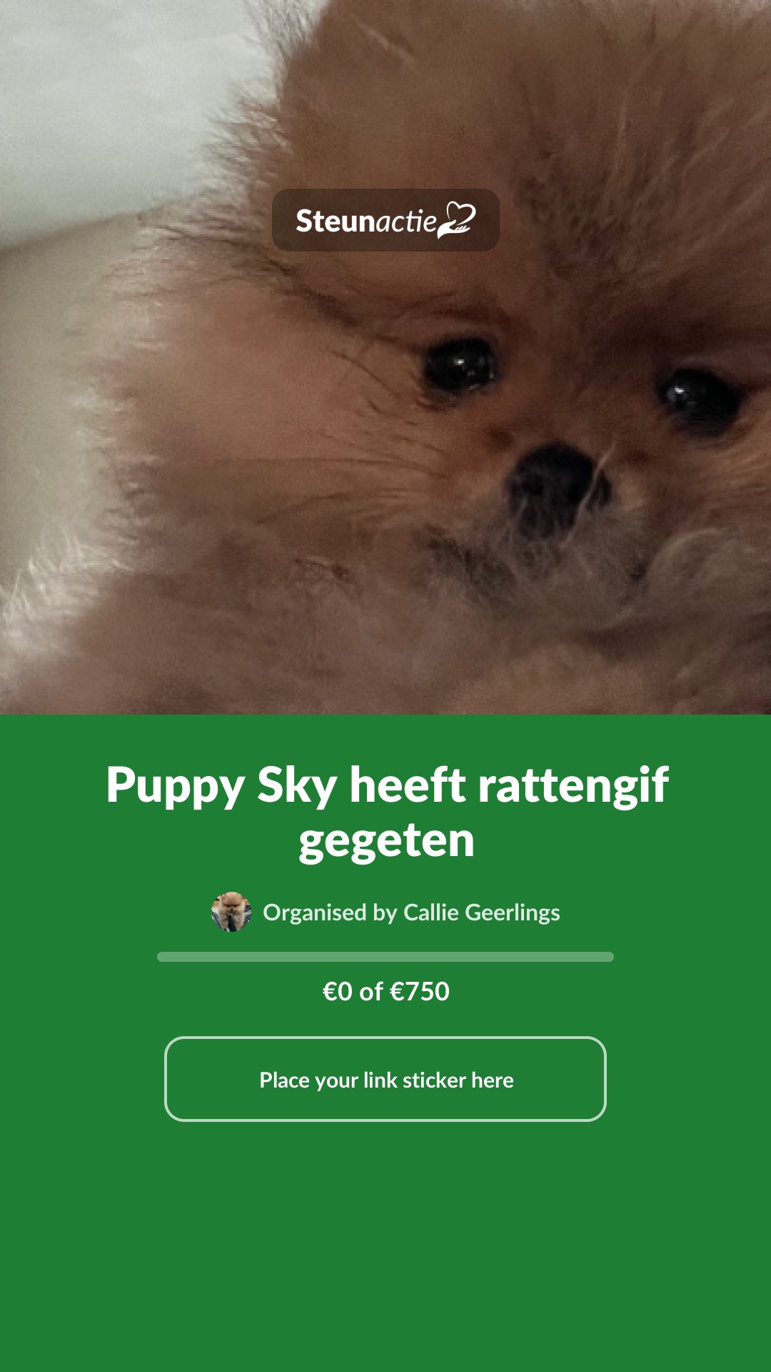 Preview of the image