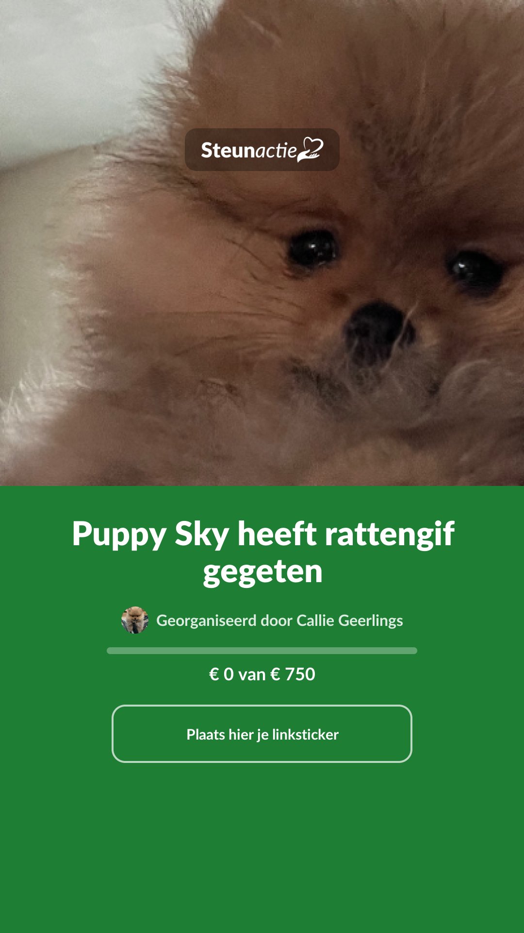 Voorbeeld van de afbeelding