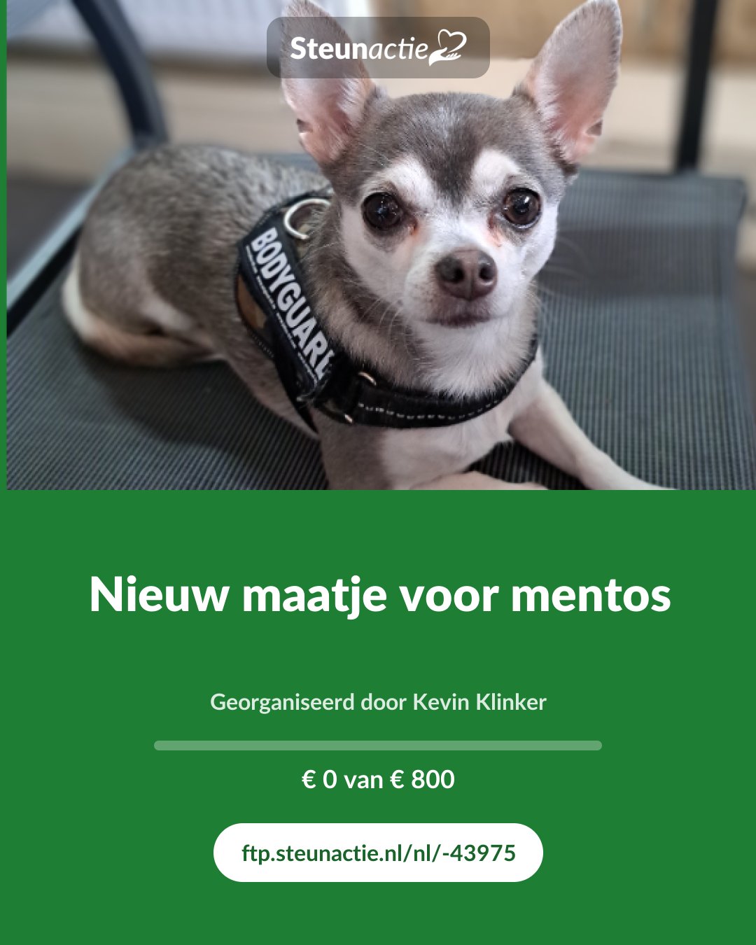 Voorbeeld van de afbeelding