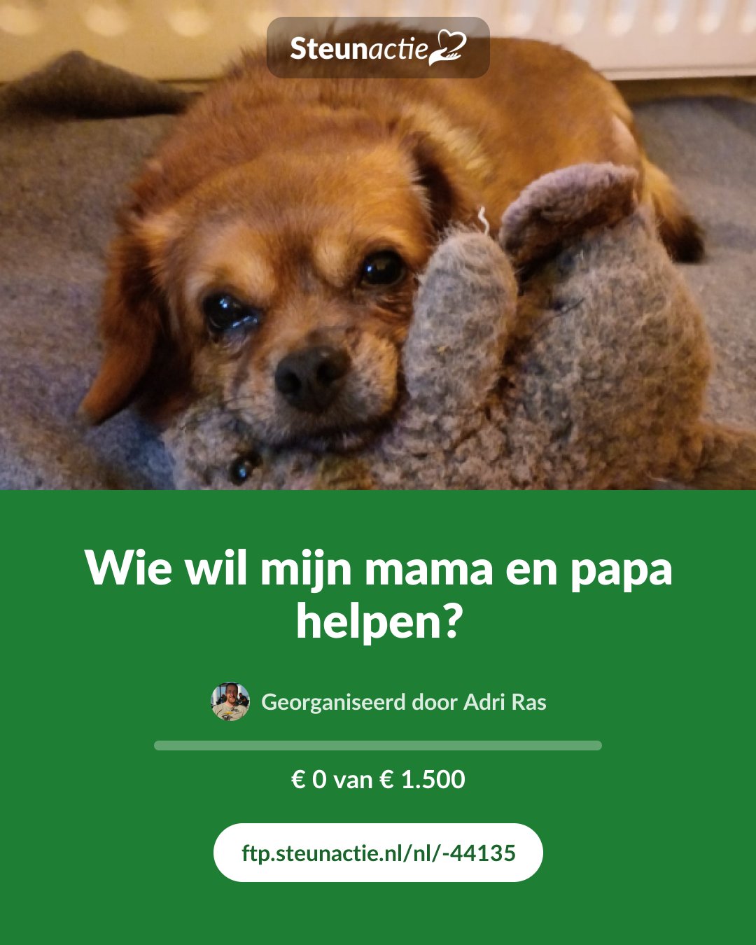 Voorbeeld van de afbeelding