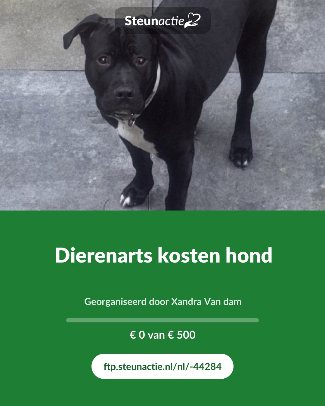 Voorbeeld van de afbeelding