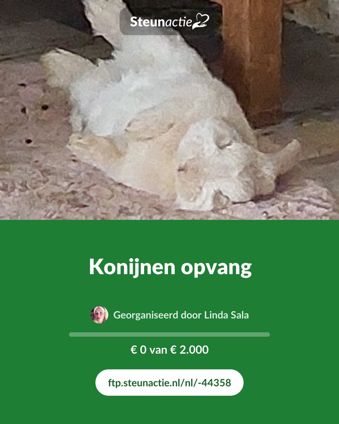 Voorbeeld van de afbeelding
