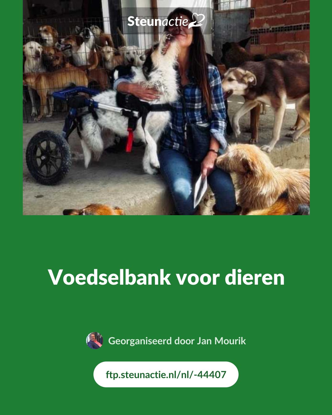 Voorbeeld van de afbeelding
