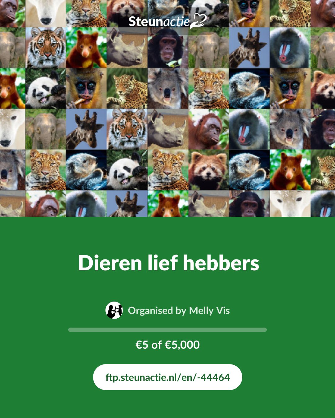 Preview of the image