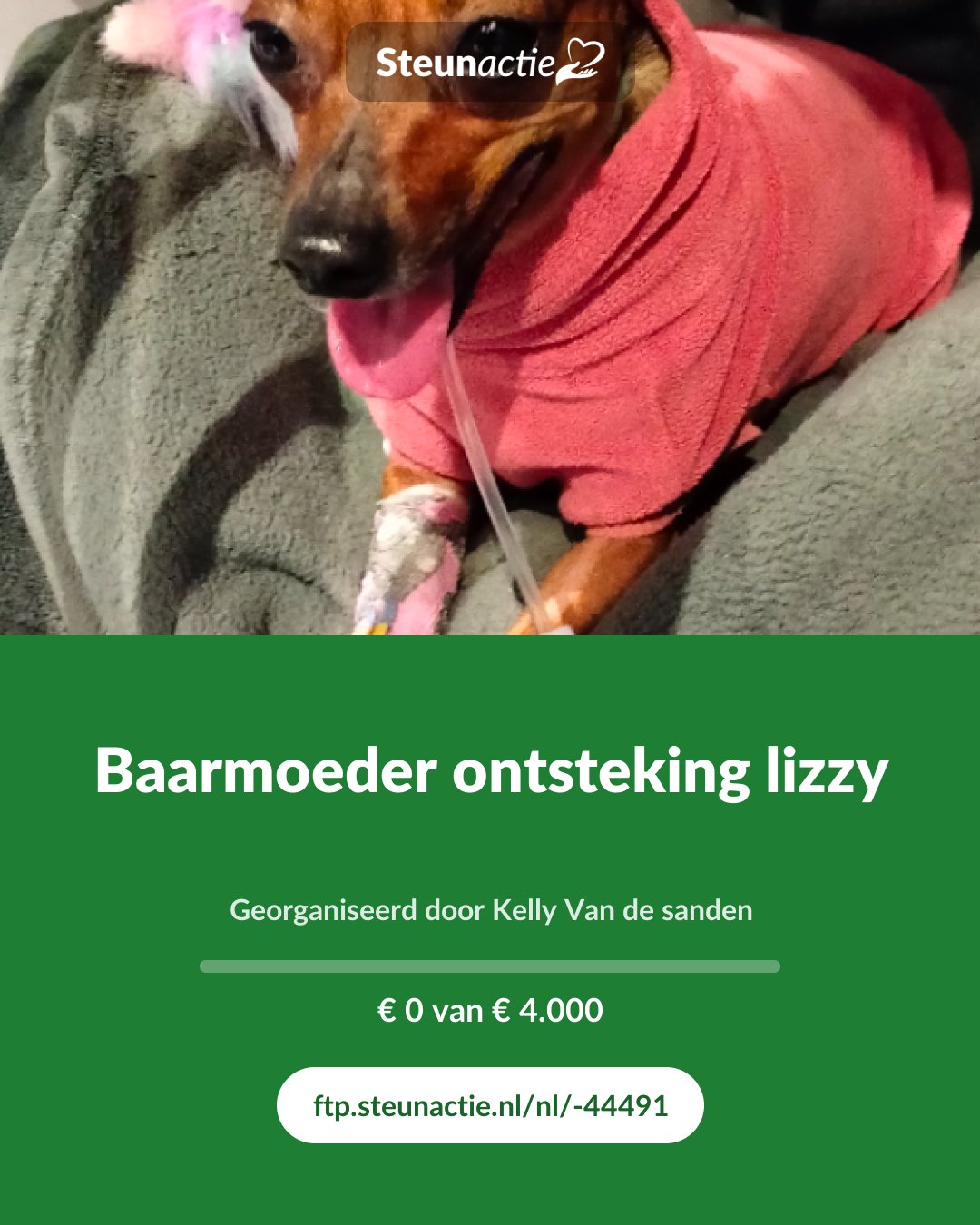 Voorbeeld van de afbeelding