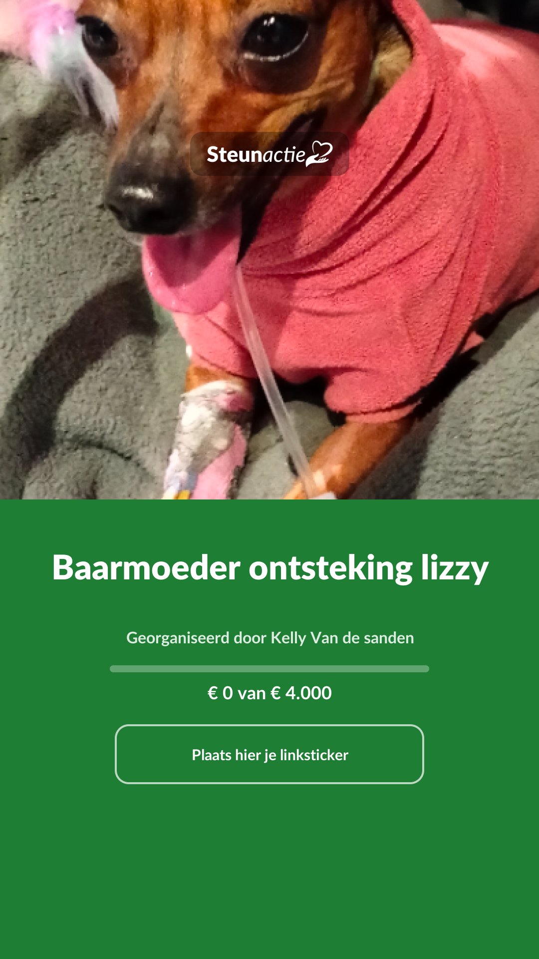 Voorbeeld van de afbeelding