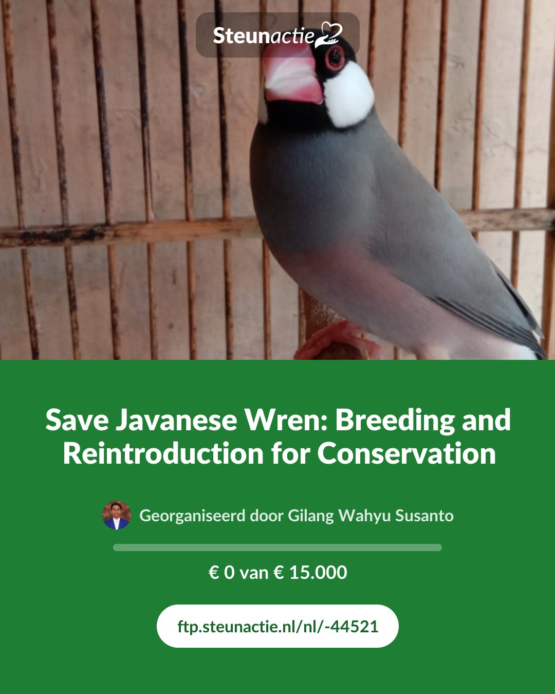 Voorbeeld van de afbeelding