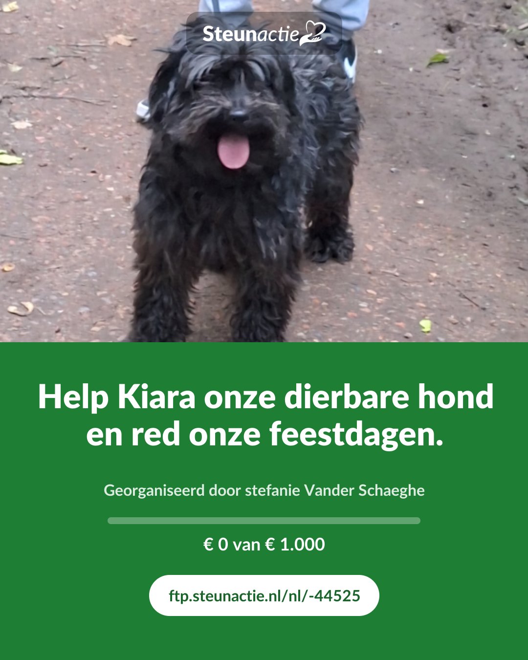 Voorbeeld van de afbeelding