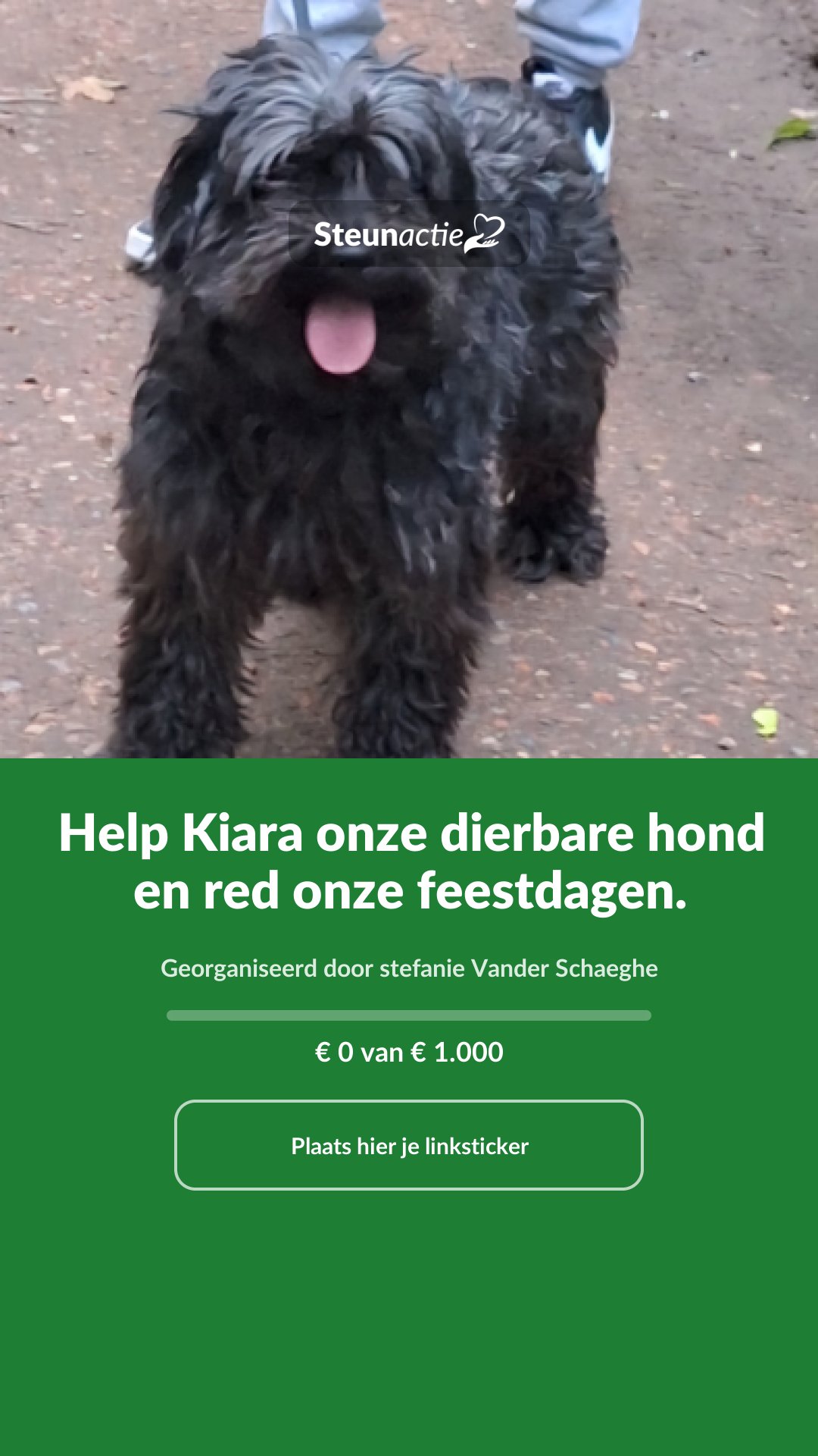 Voorbeeld van de afbeelding