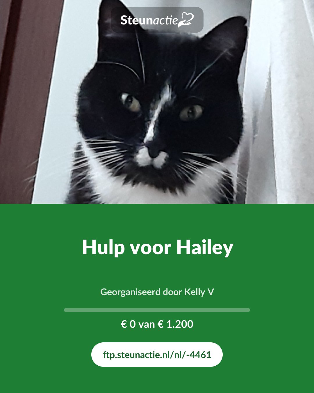 Voorbeeld van de afbeelding