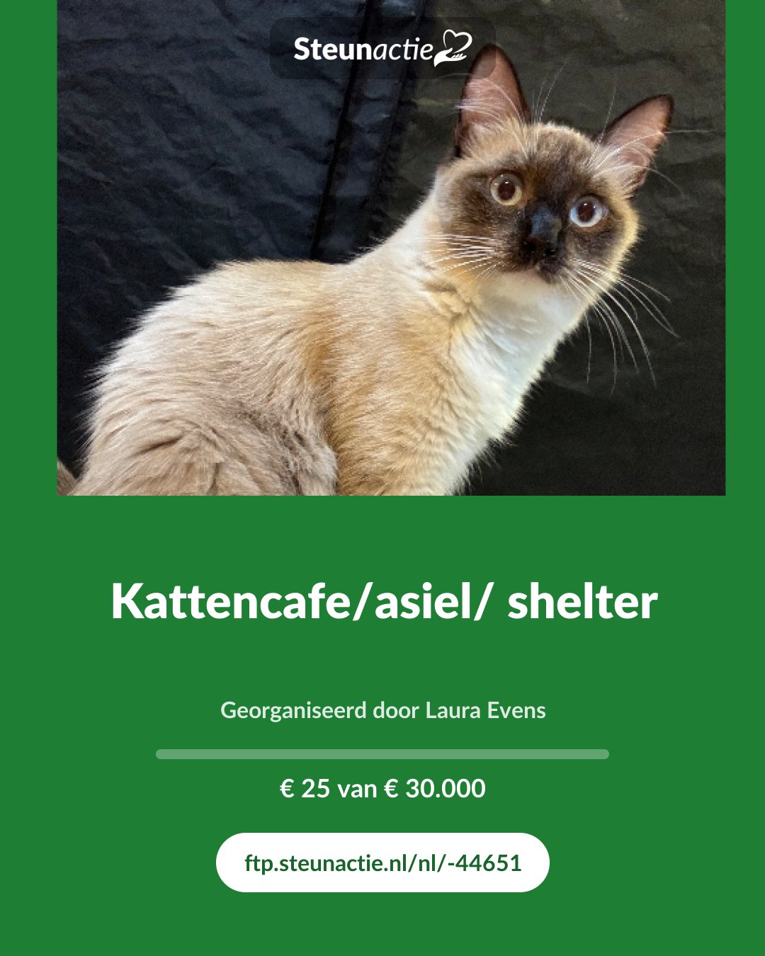 Voorbeeld van de afbeelding