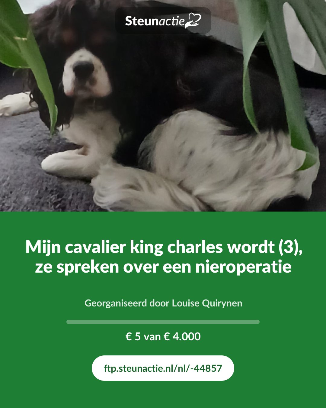 Voorbeeld van de afbeelding