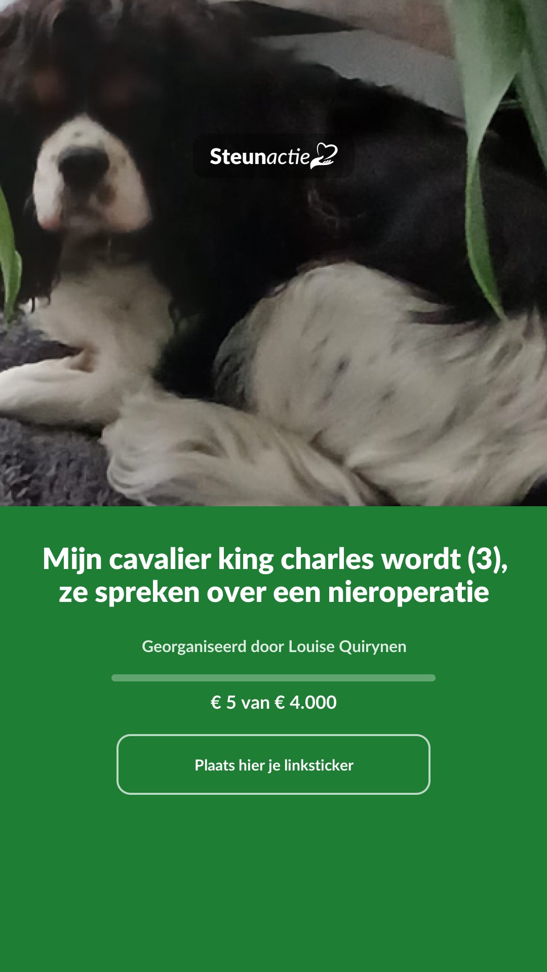 Voorbeeld van de afbeelding