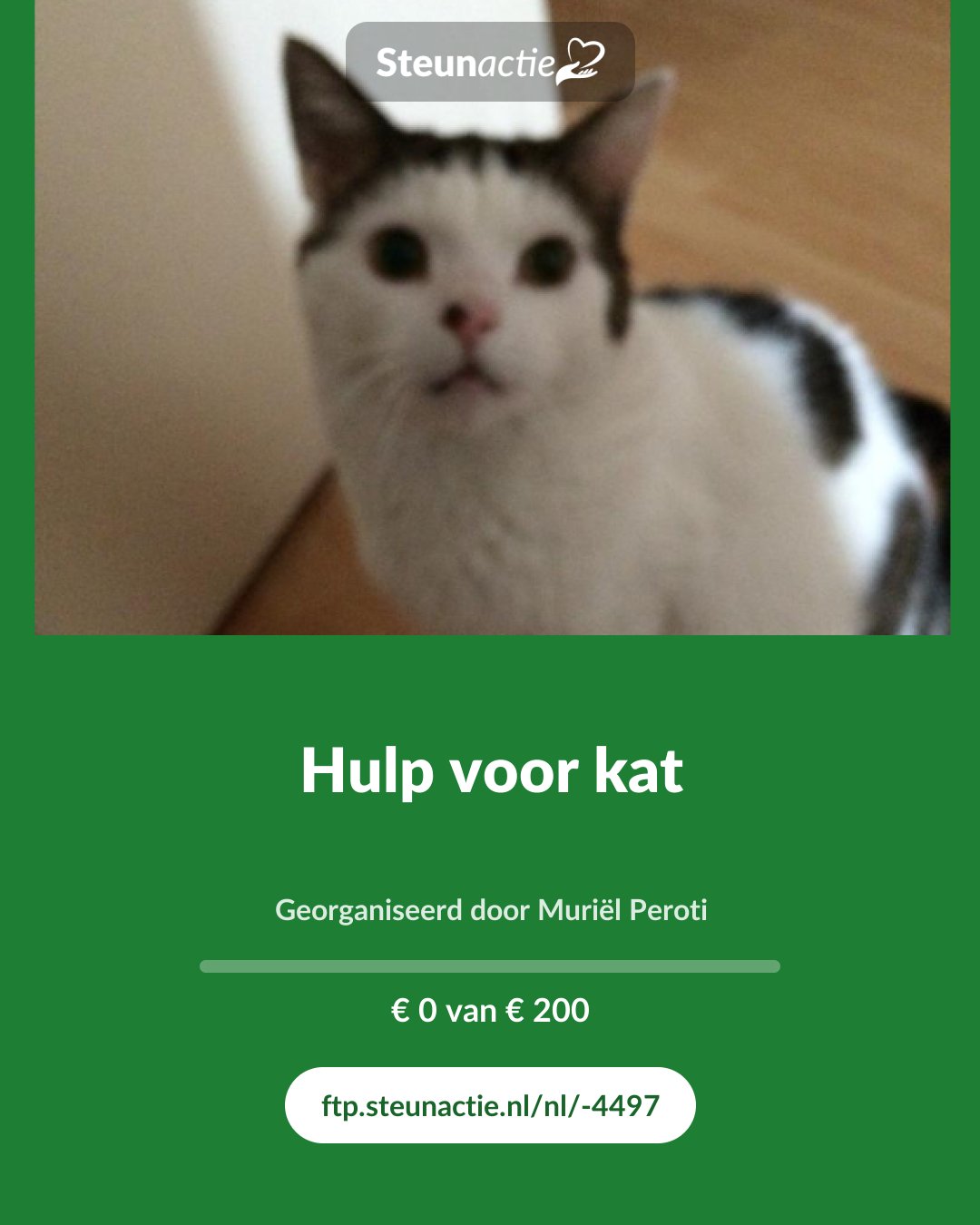 Voorbeeld van de afbeelding