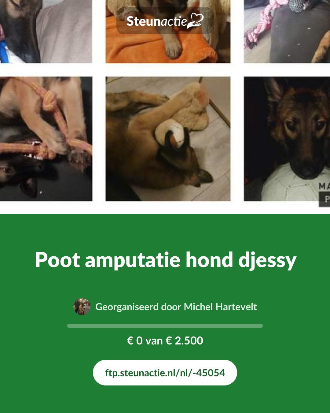 Voorbeeld van de afbeelding