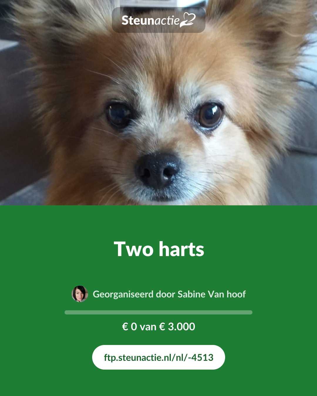 Voorbeeld van de afbeelding