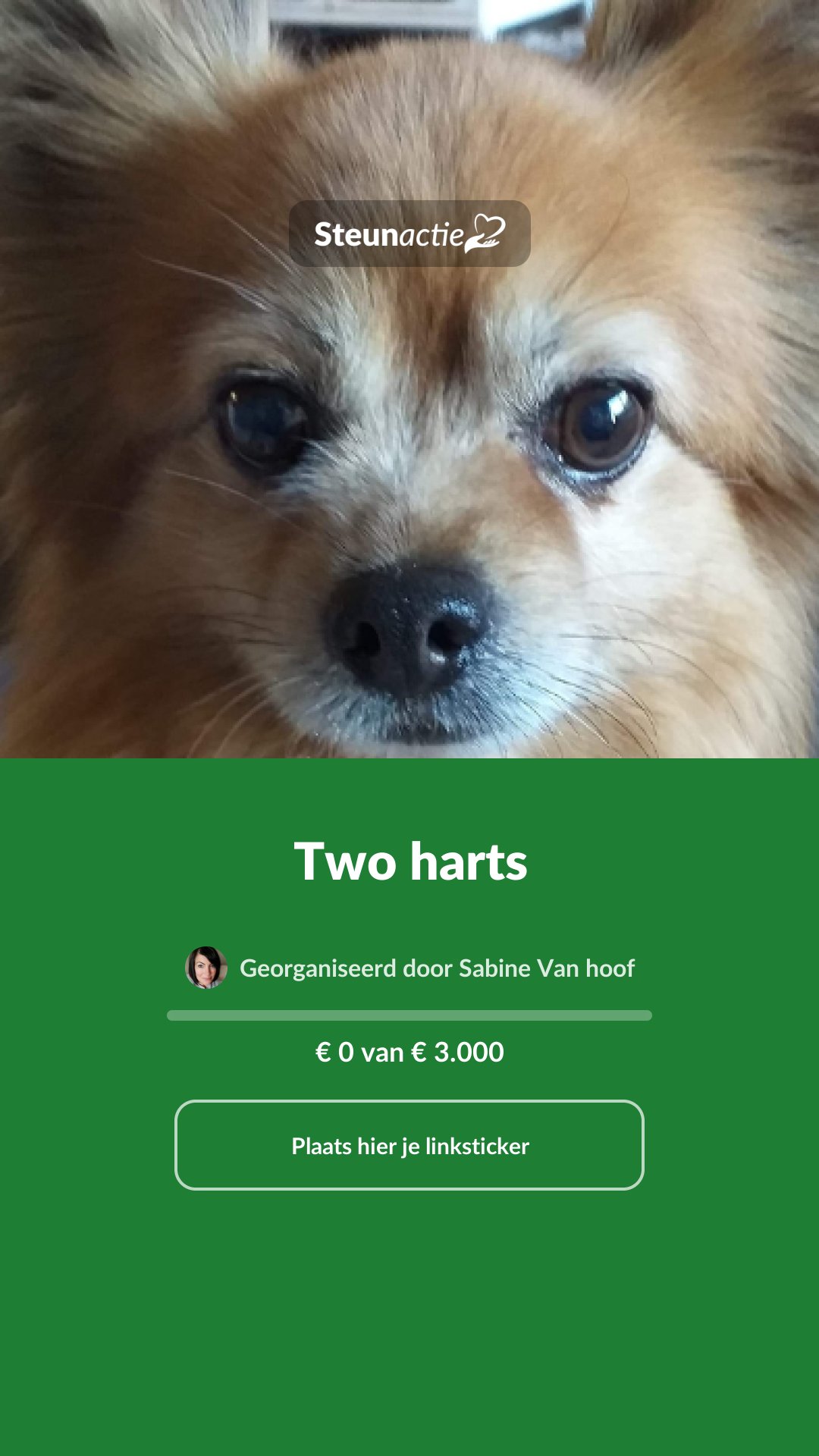 Voorbeeld van de afbeelding