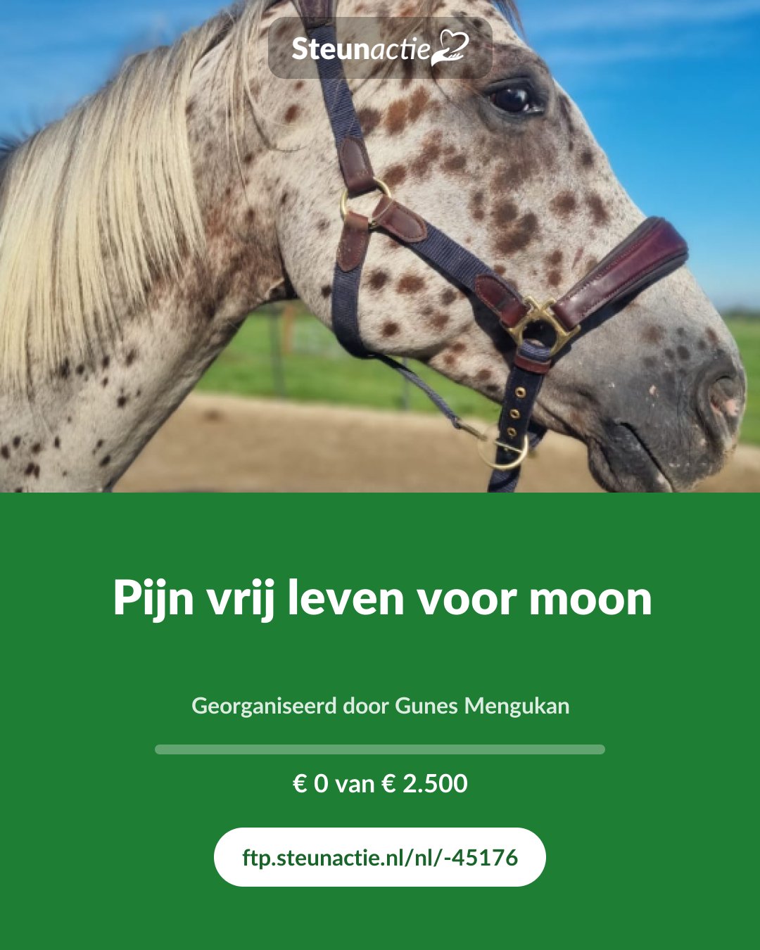 Voorbeeld van de afbeelding