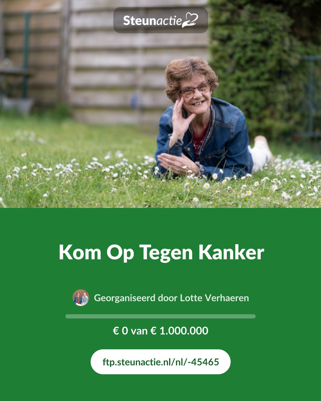 Voorbeeld van de afbeelding