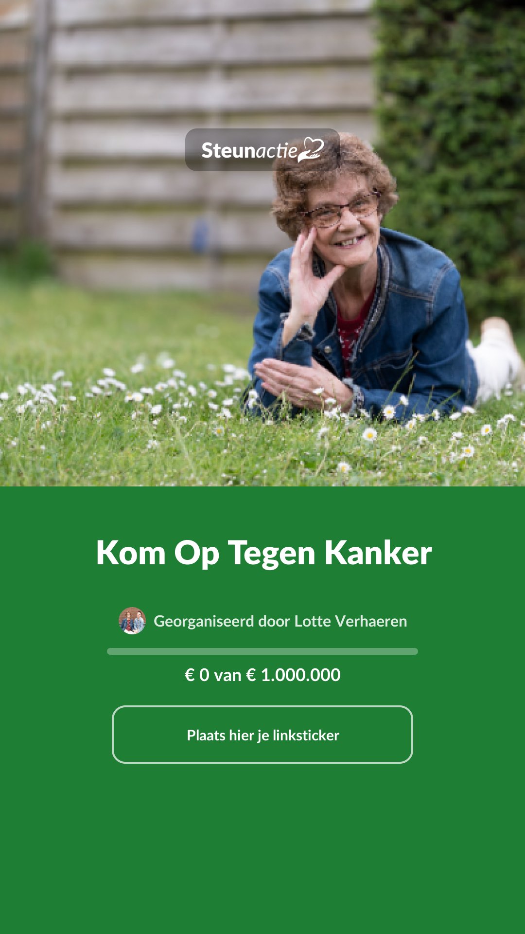 Voorbeeld van de afbeelding