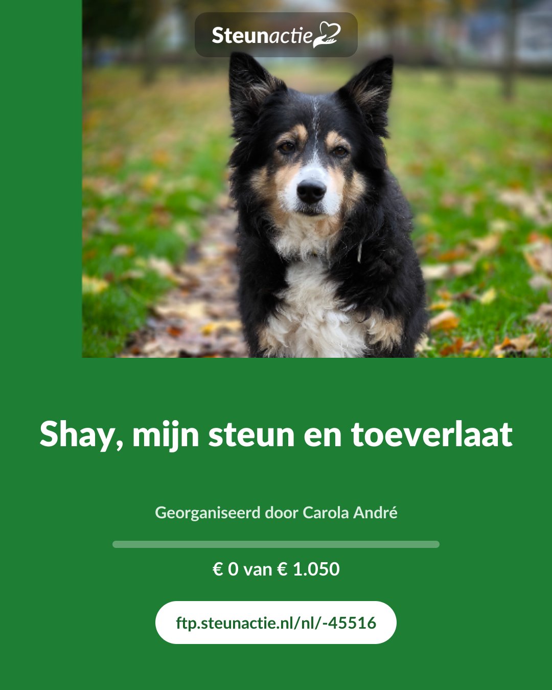 Voorbeeld van de afbeelding
