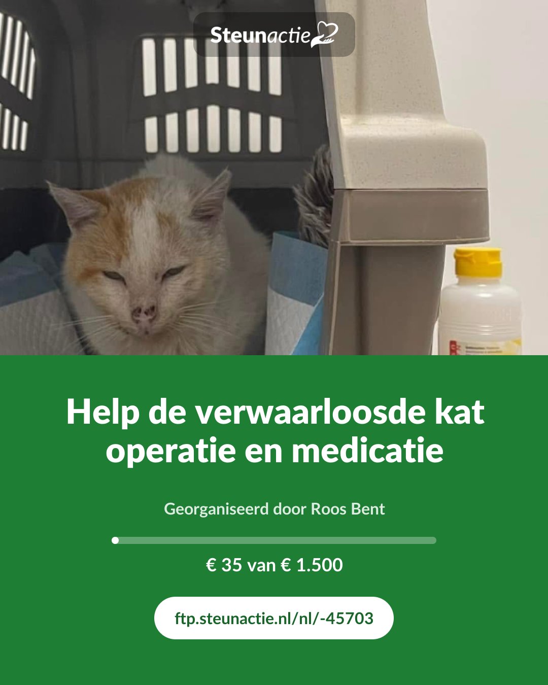 Voorbeeld van de afbeelding