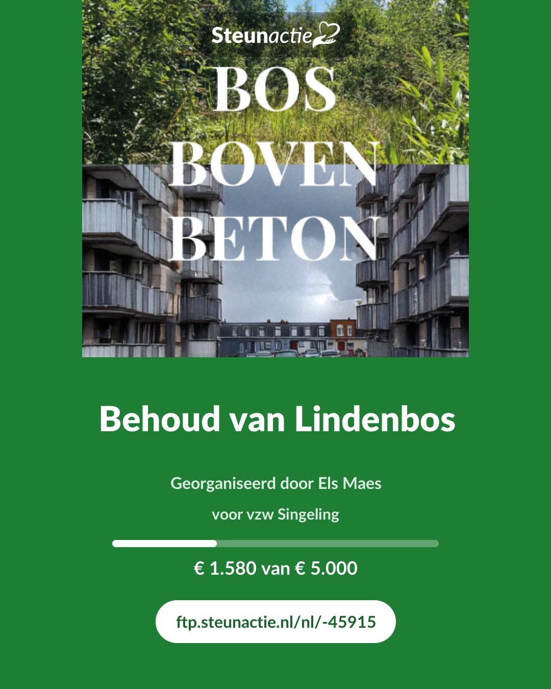 Voorbeeld van de afbeelding