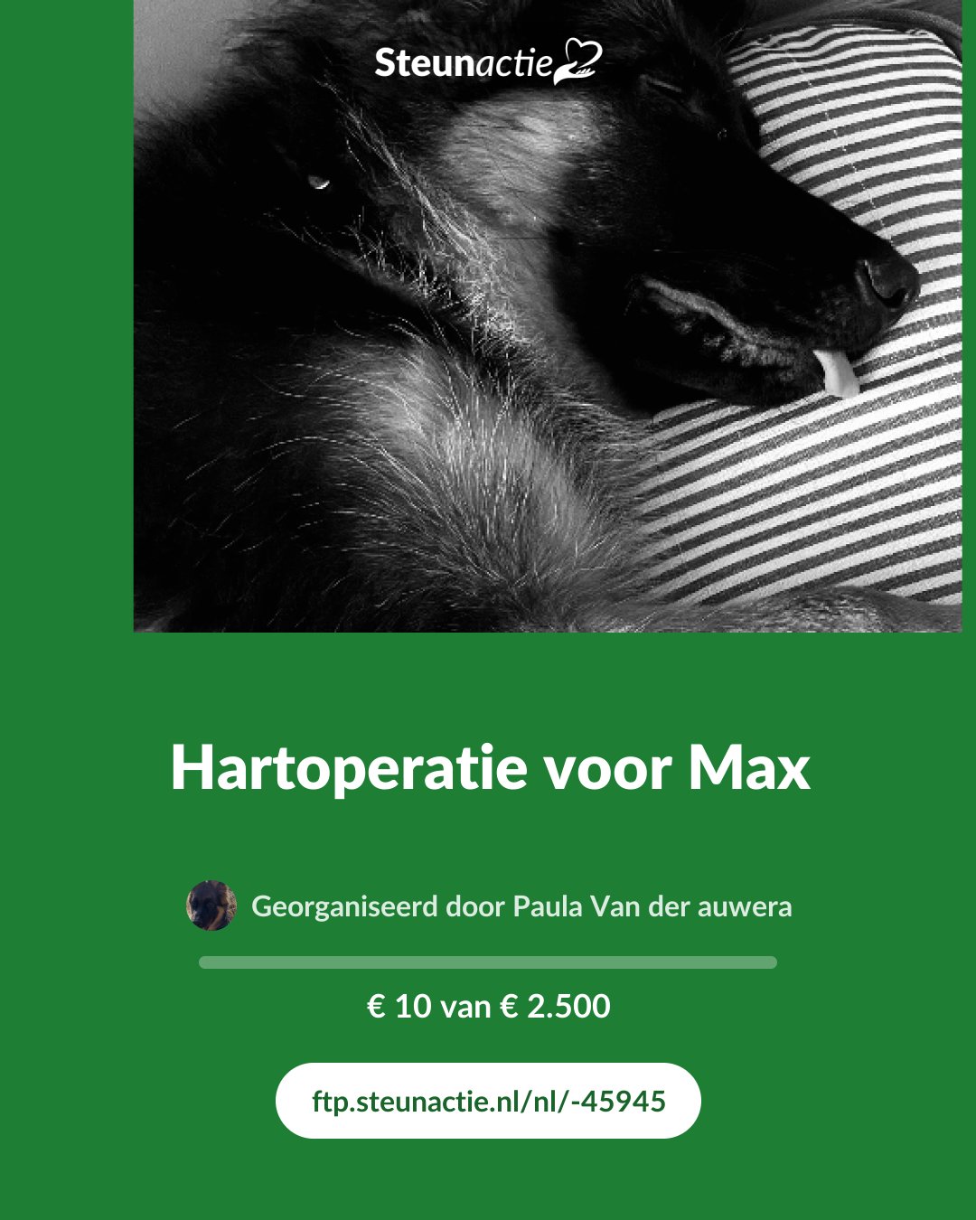Voorbeeld van de afbeelding