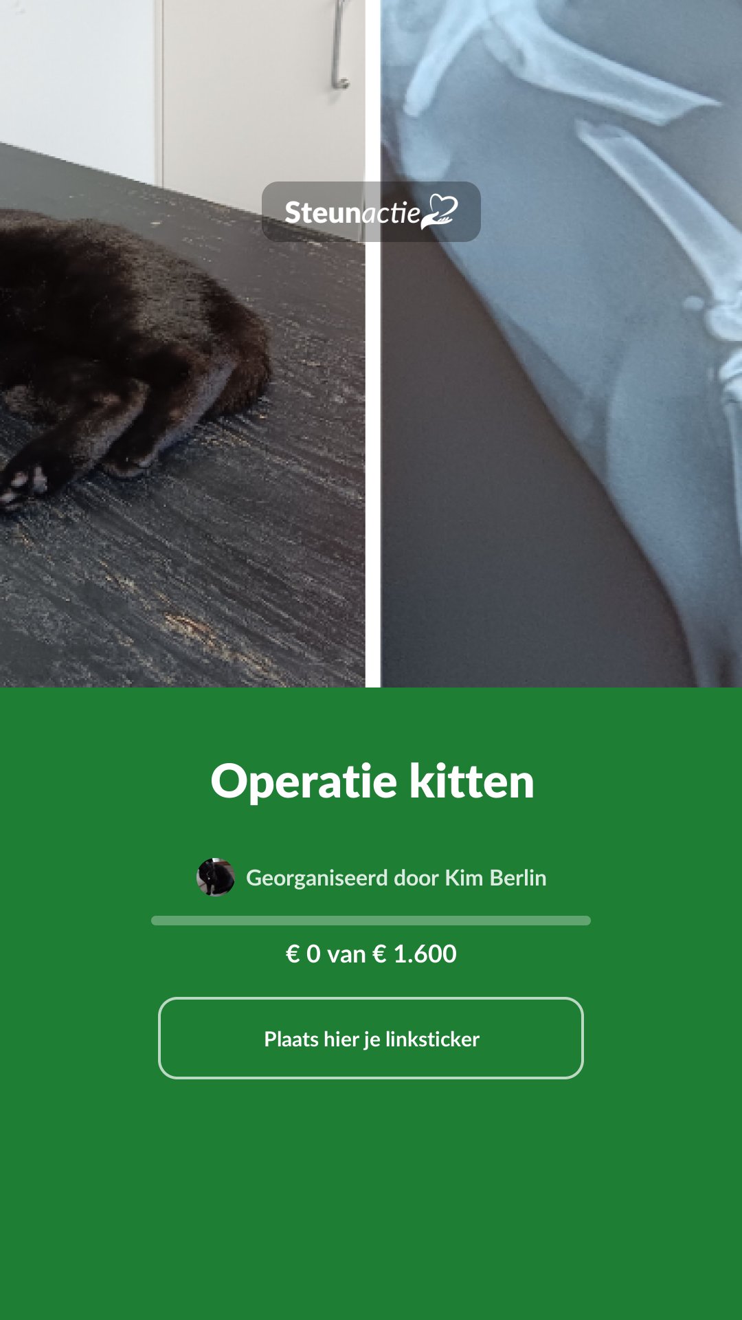 Voorbeeld van de afbeelding