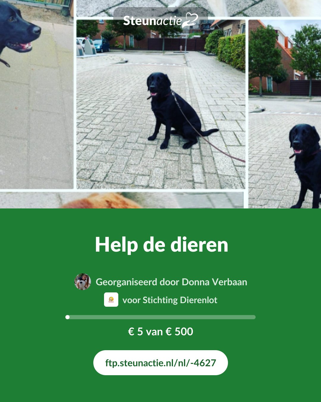 Voorbeeld van de afbeelding