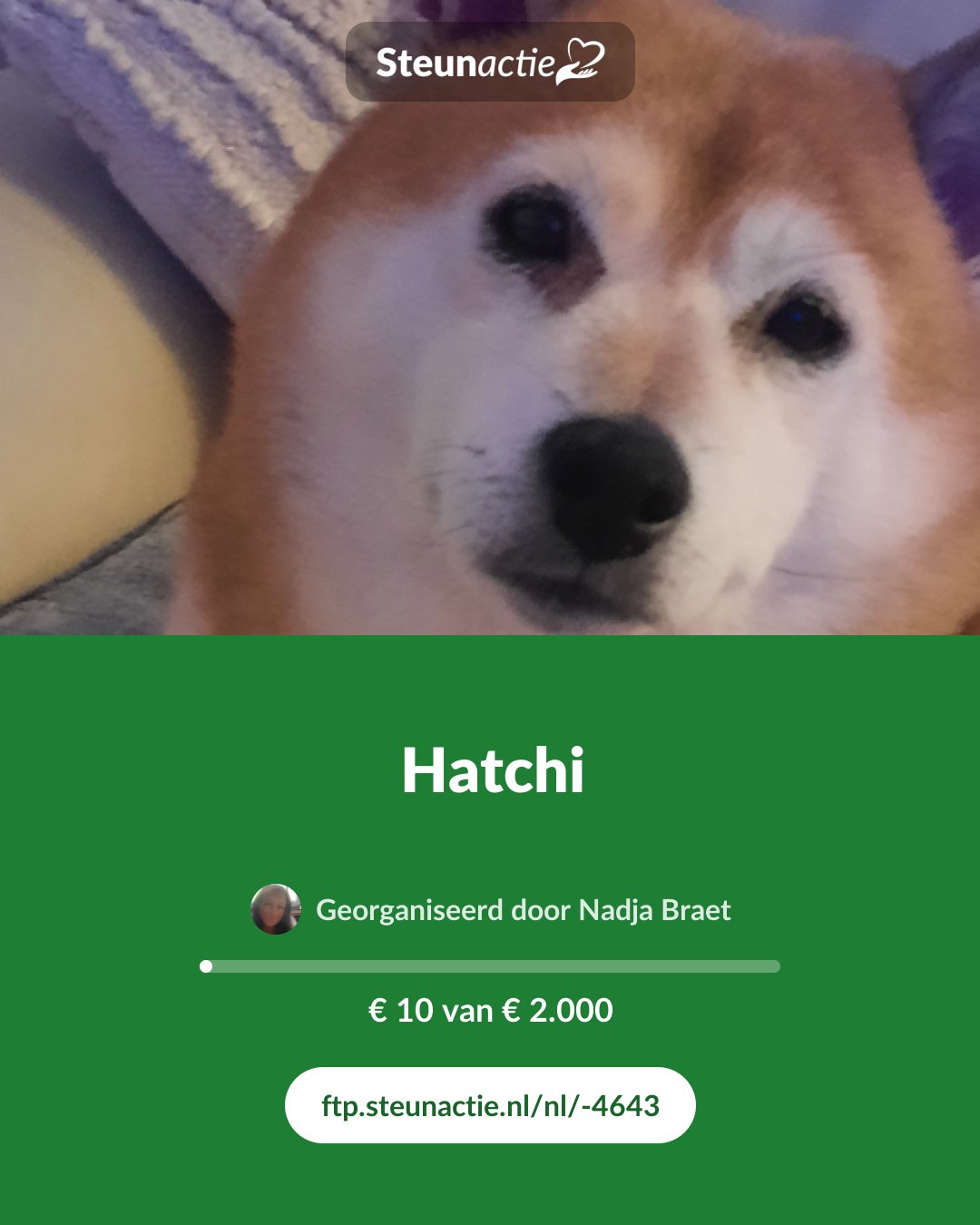 Voorbeeld van de afbeelding
