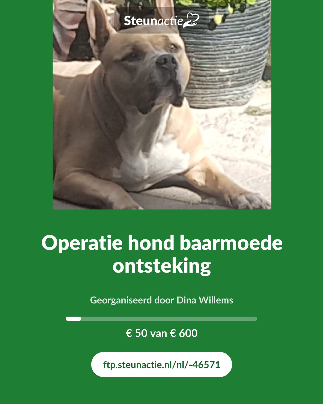 Voorbeeld van de afbeelding