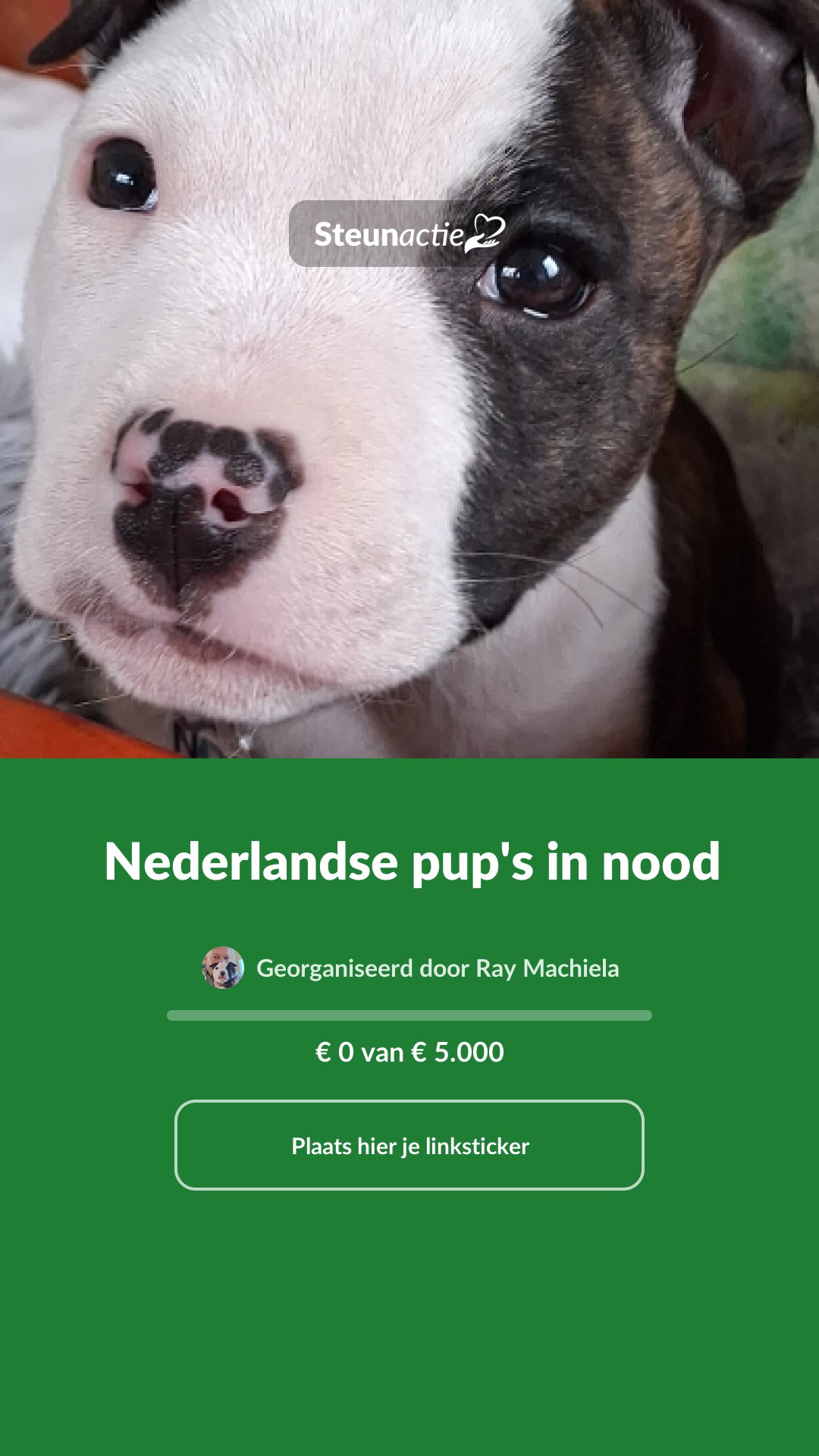 Voorbeeld van de afbeelding