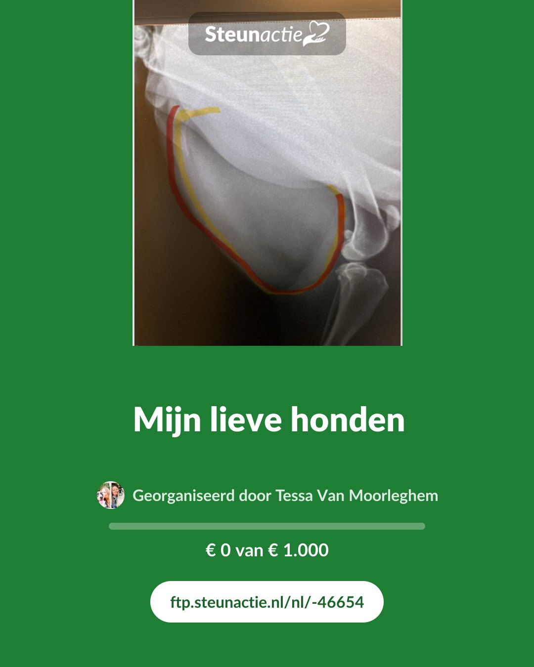 Voorbeeld van de afbeelding