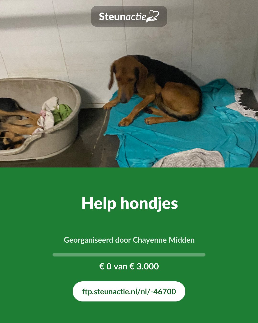 Voorbeeld van de afbeelding
