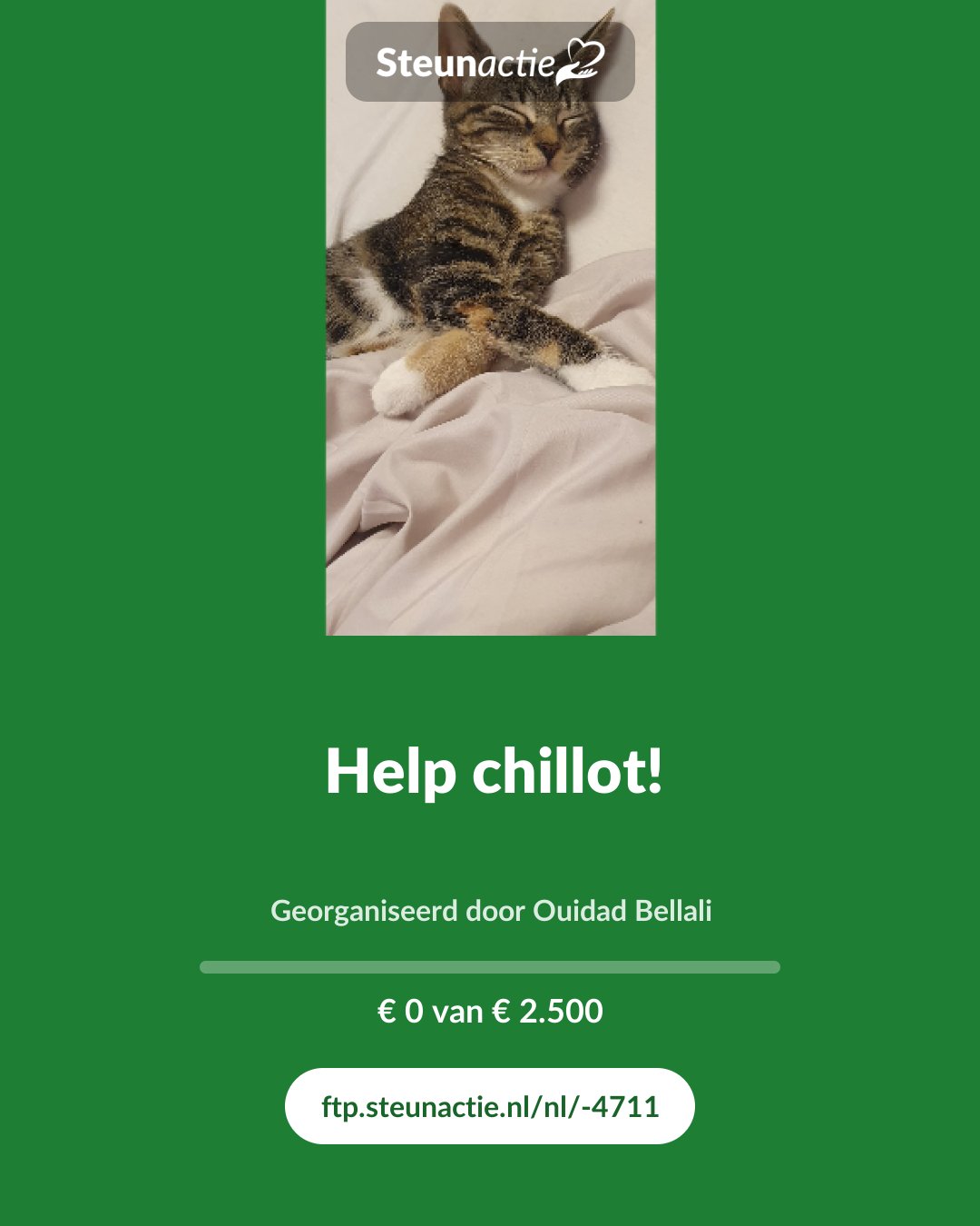 Voorbeeld van de afbeelding