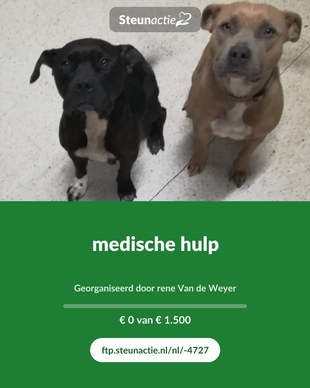 Voorbeeld van de afbeelding