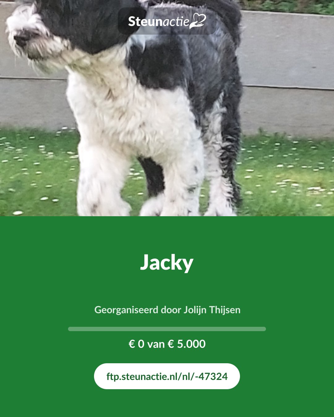 Voorbeeld van de afbeelding
