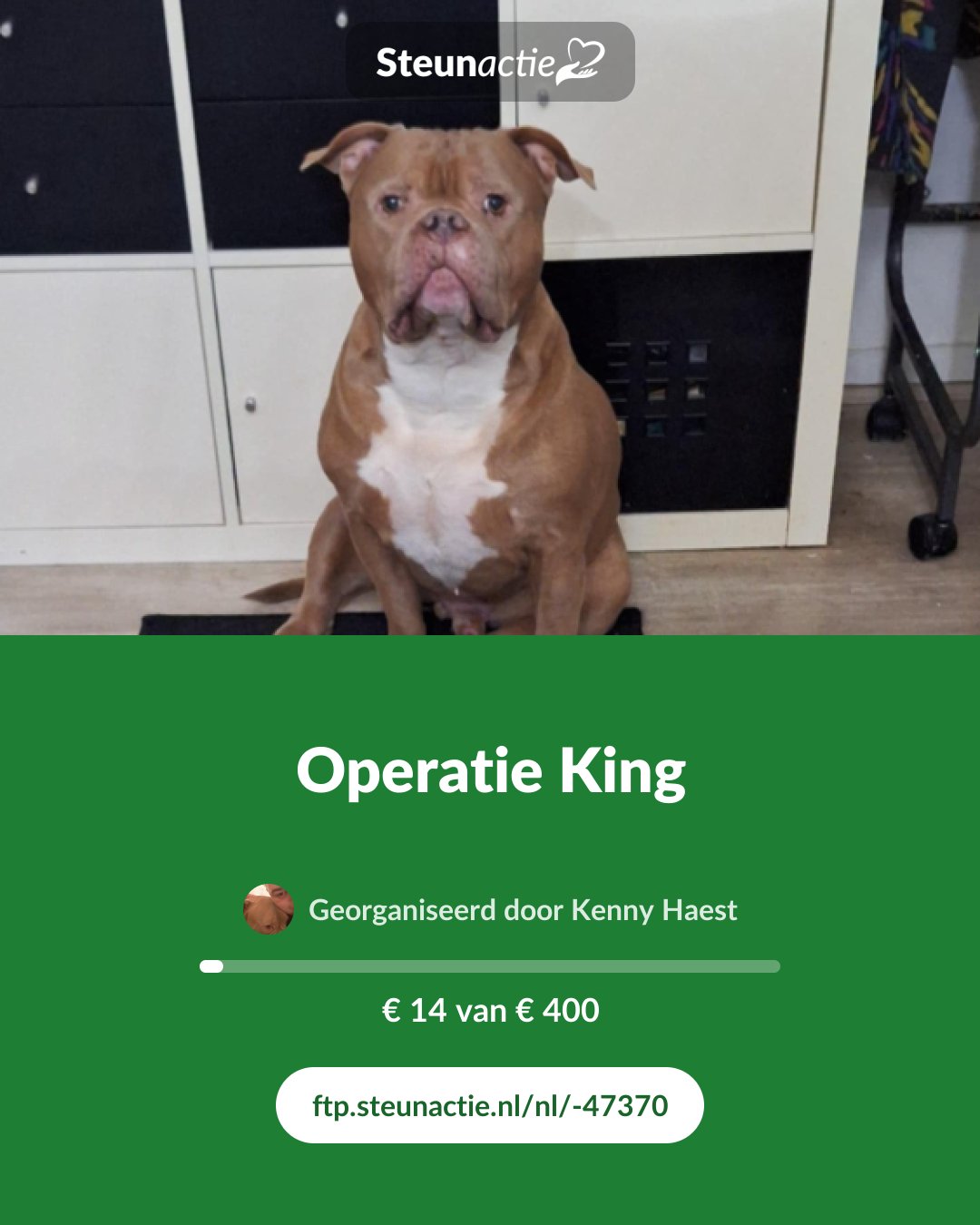 Voorbeeld van de afbeelding
