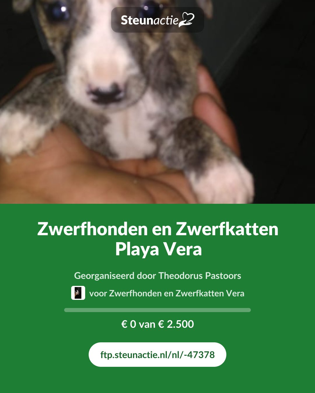 Voorbeeld van de afbeelding