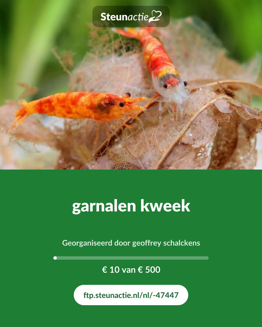 Voorbeeld van de afbeelding