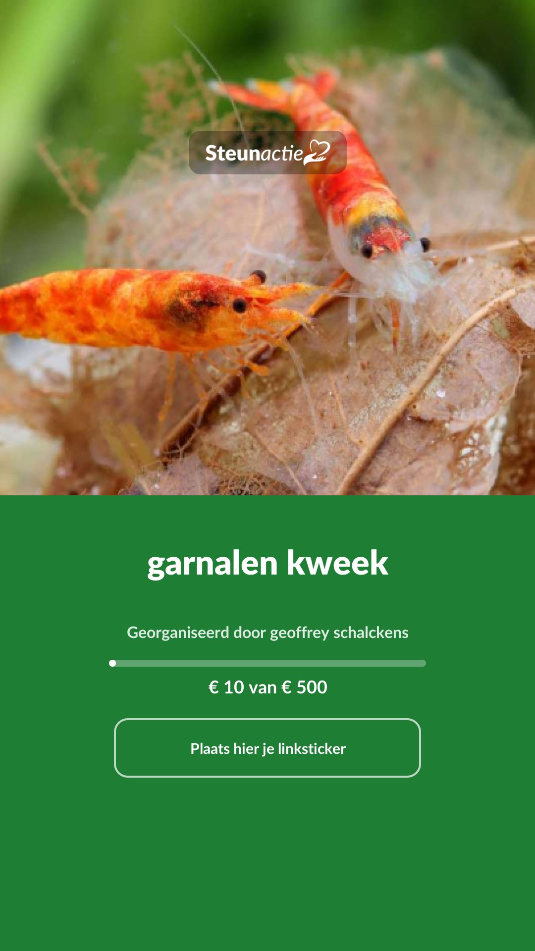 Voorbeeld van de afbeelding