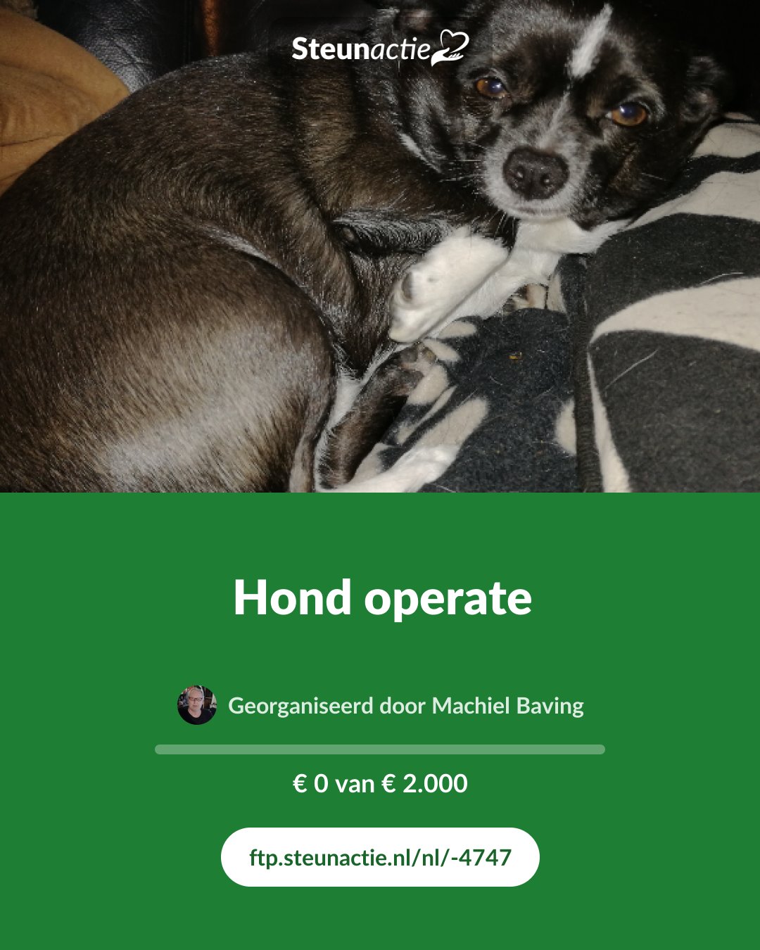 Voorbeeld van de afbeelding