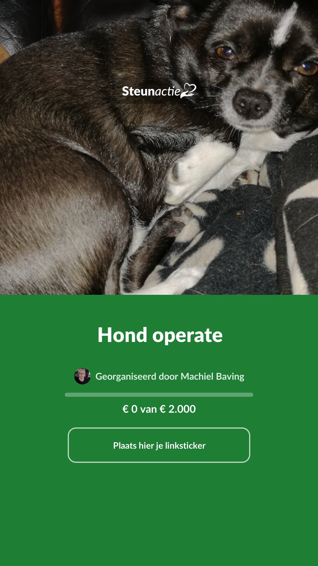 Voorbeeld van de afbeelding
