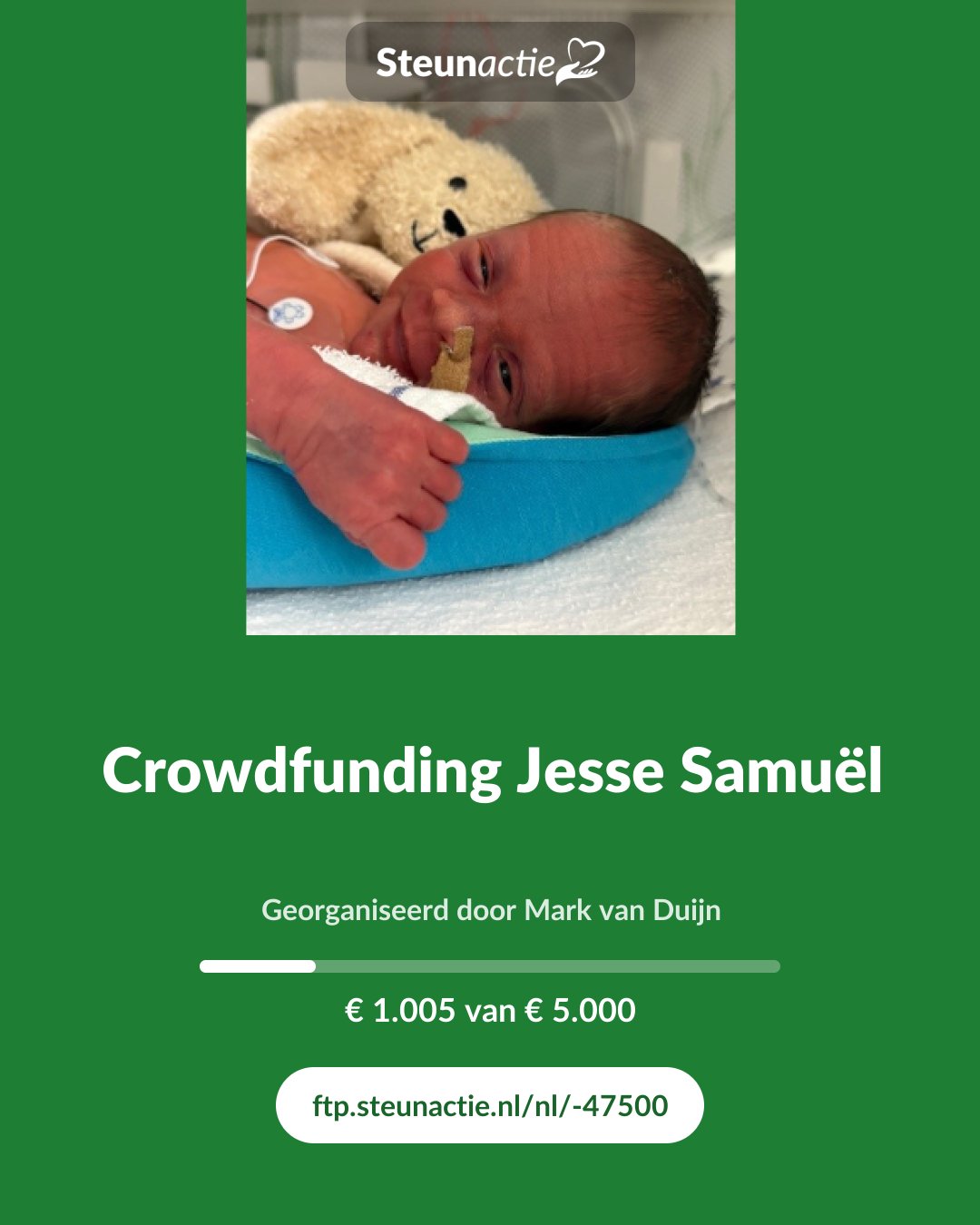Voorbeeld van de afbeelding