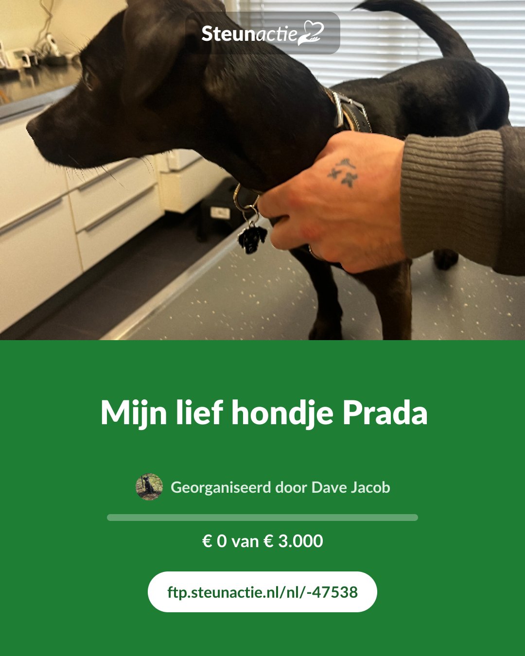 Voorbeeld van de afbeelding