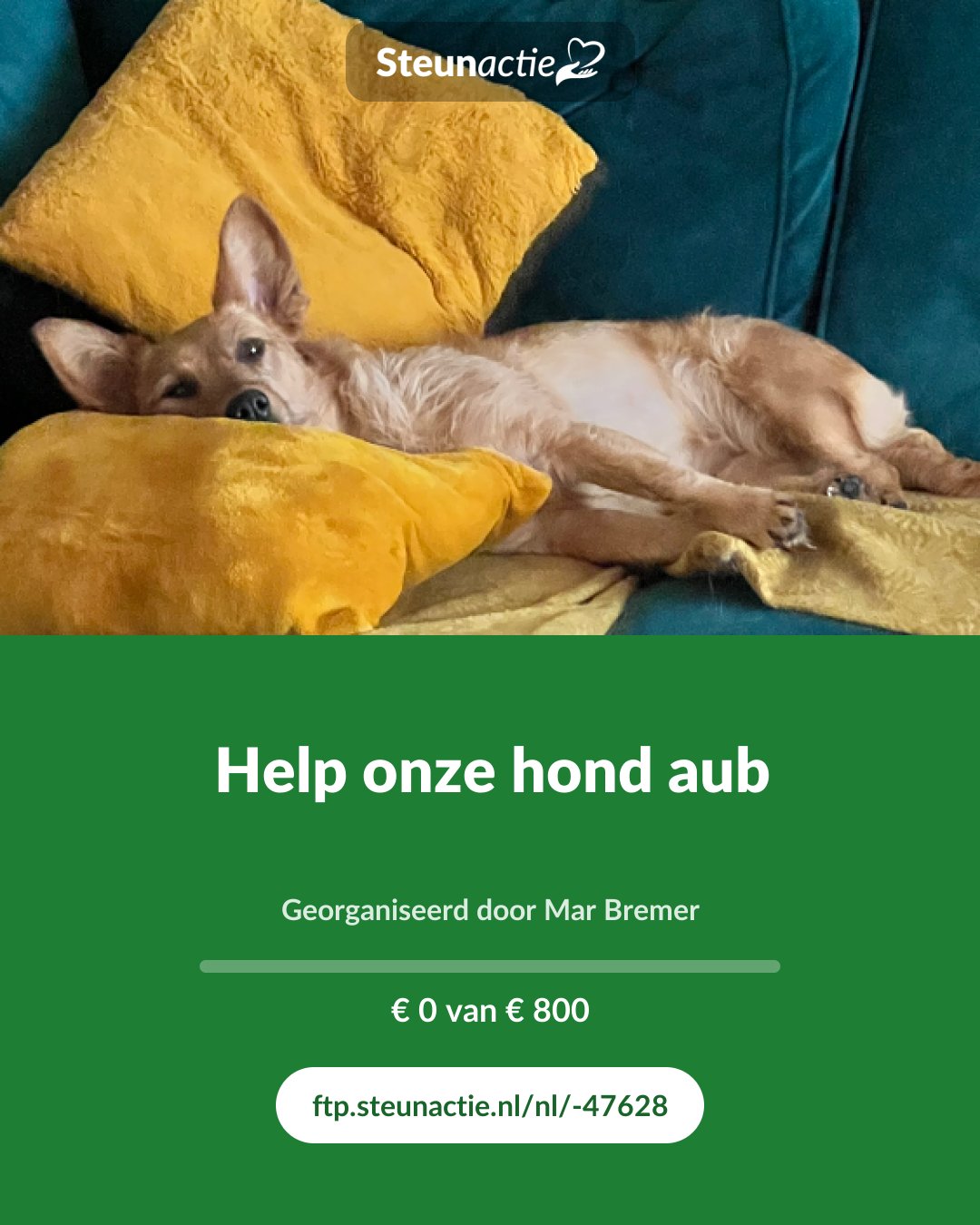 Voorbeeld van de afbeelding